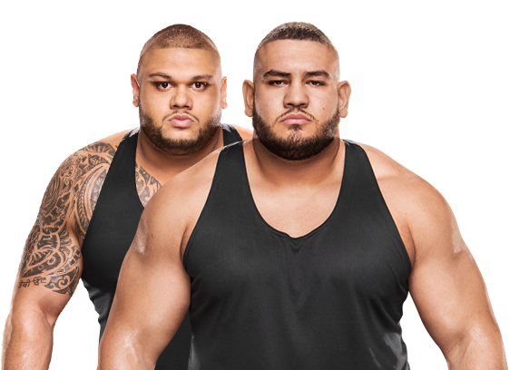 سبب عدم استمرار بول ايلرينج مع Authors of Pain